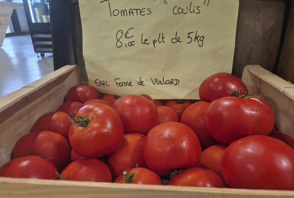 Tomates au plateau 5kg