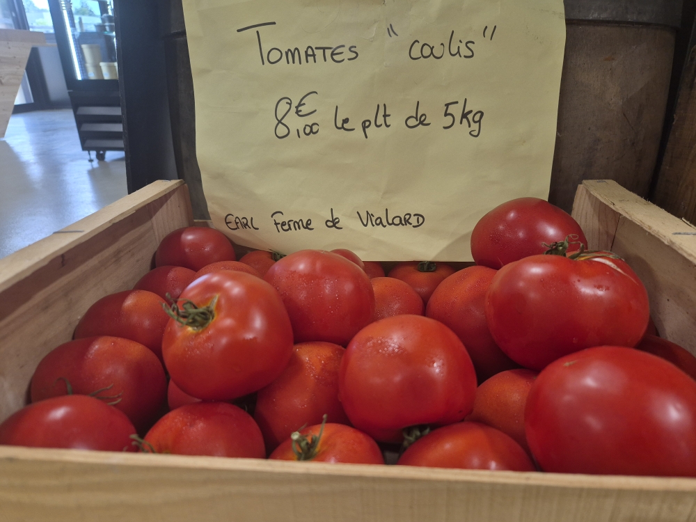 tomate coulis 5kg