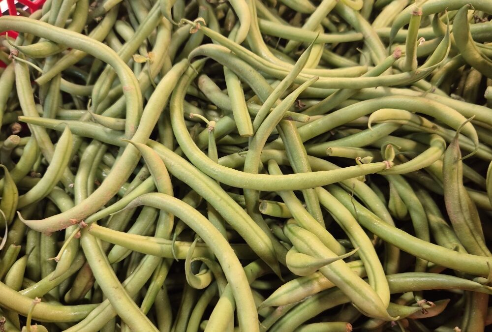 Les haricots verts