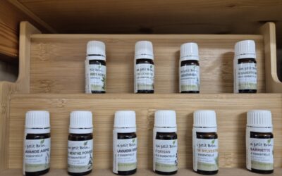 Les huiles essentielles