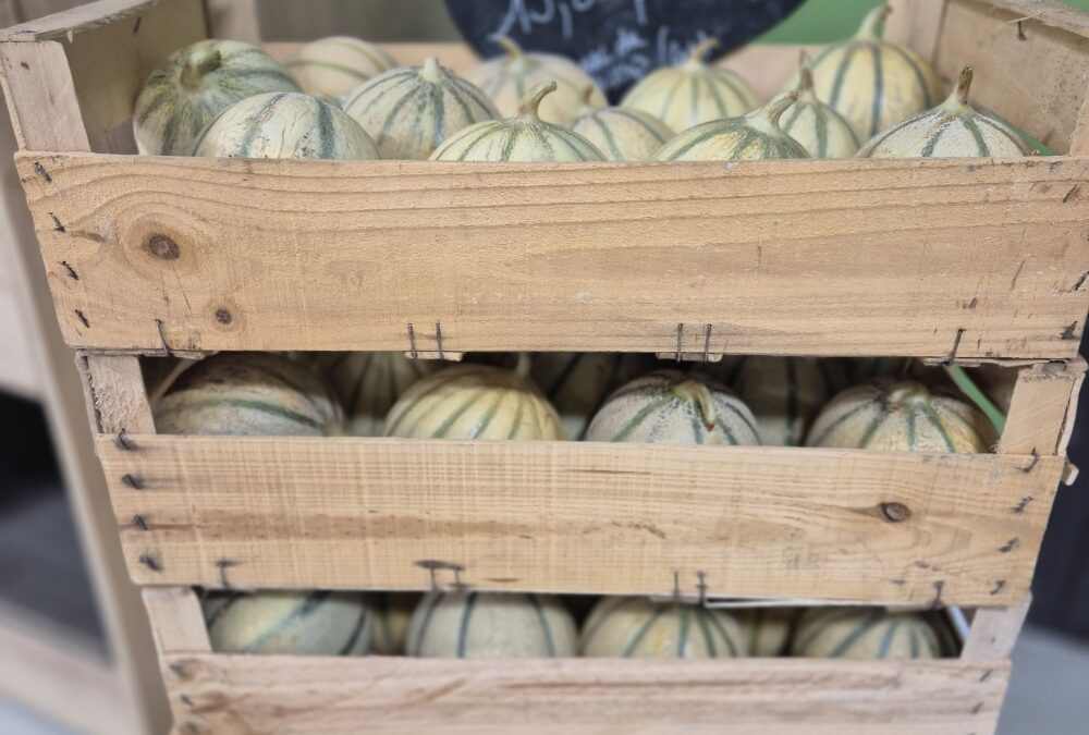 Melon au plateau