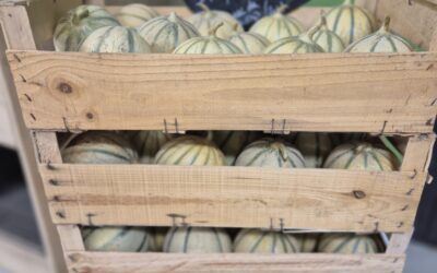 Melon au plateau