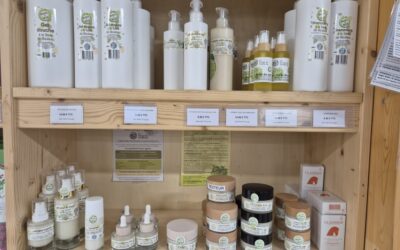Cosmétique à la sève de bouleau