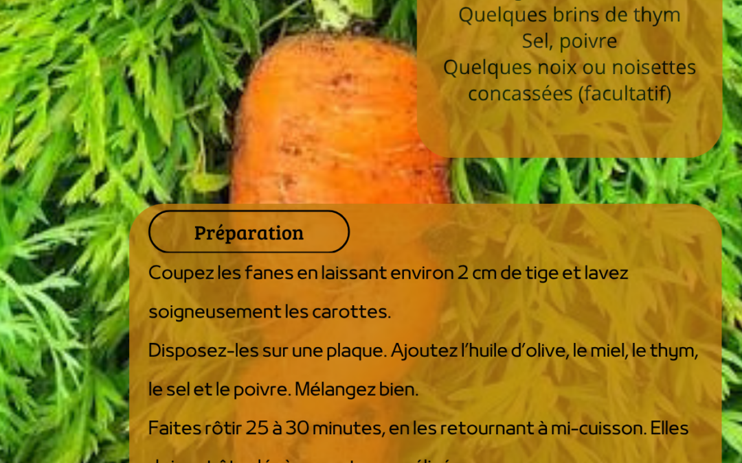 Recette: Carottes Fanes