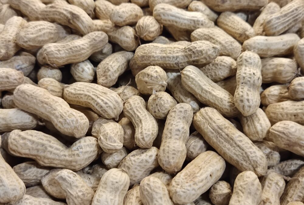Les cacahuètes