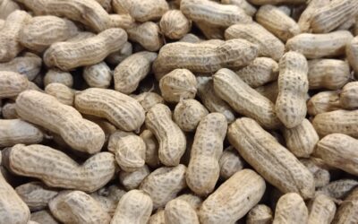 Les cacahuètes