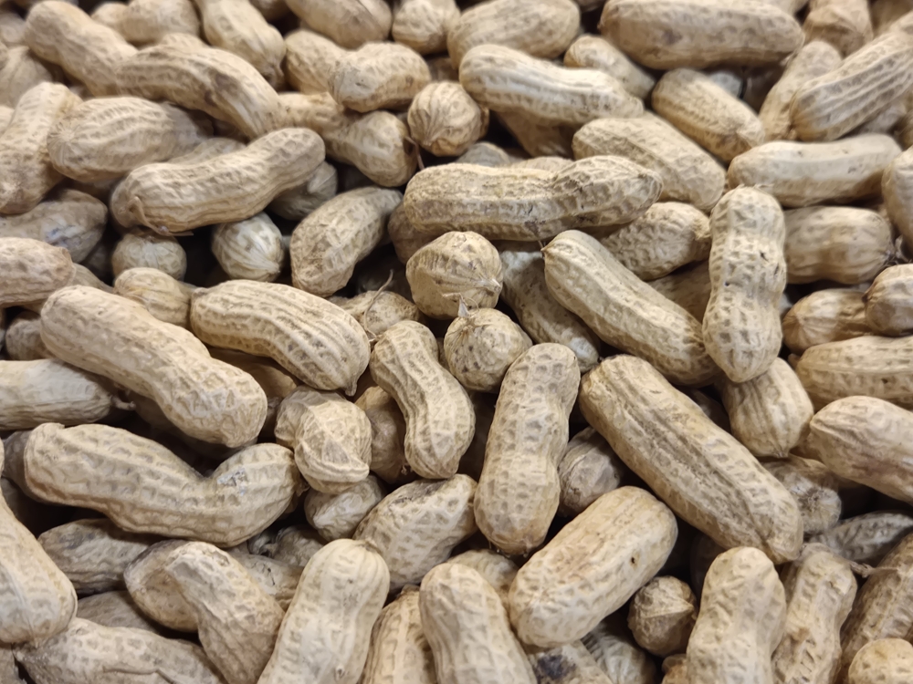 cacahuète