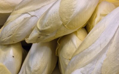 Les endives