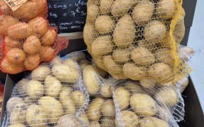 Les pommes de terre en filet