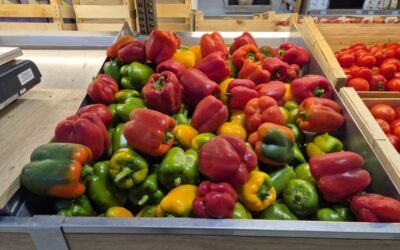 Idées recettes autour du poivron