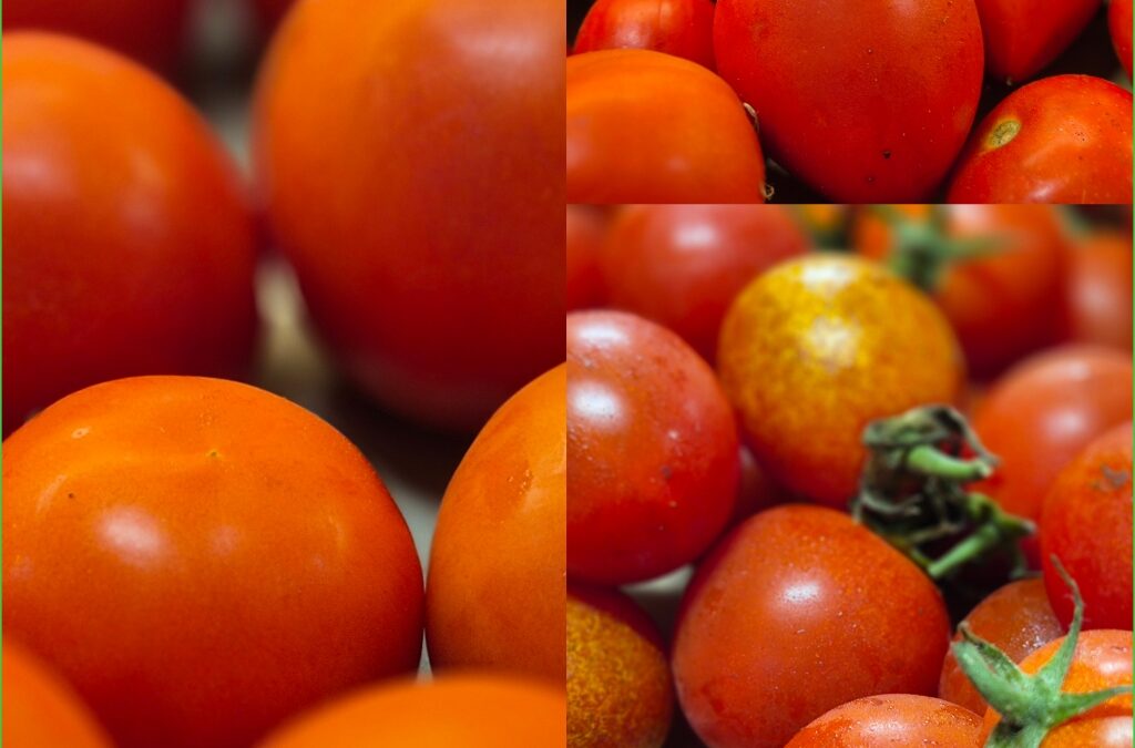 Les tomates