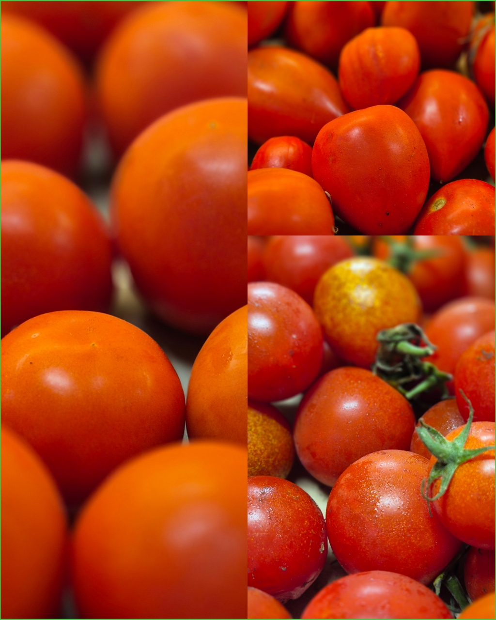 tomates