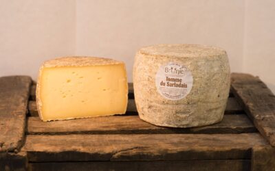 Tomme du sarladais
